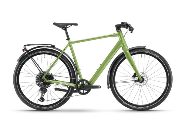 Winora E-FLITZER i250Wh 10-G Cues 24-25 Winora M35i GL_shamrock Rh 50