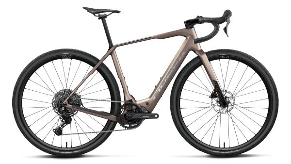 Orbea DENNA M40 L Nickel (Matt) - Carbon Raw (Gloss)