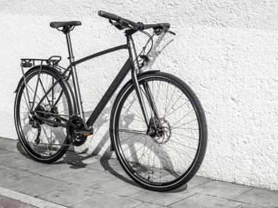 Trek FX 2 DISC EQ S Satin Lithium Grey Produktbild 1