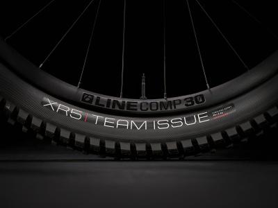 Trek Fuel EX 8 GX AXS L 29 Matte Keswick Produktbild 9