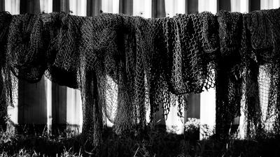 Trek Cage Trek Elite Ocean Recycled Plastic Black Produktbild 4