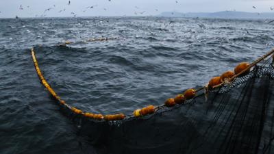 Trek Cage Trek Elite Ocean Recycled Plastic Black Produktbild 5