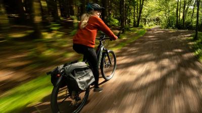 Trek Powerfly+ 6 EU XL 29 Sunburst/Dark Star Produktbild 16