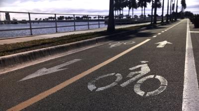 Trek District+ 4 LS Coaster M Pennyflake 545 Produktbild 3