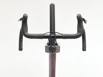 Trek Checkpoint ALR 5 S Bronze Age Produktbild 8