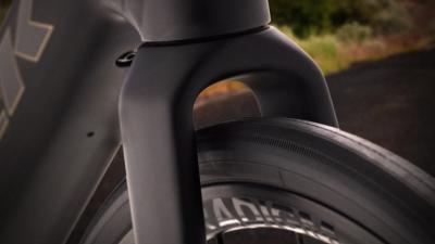  Domane+ ALR 5 EU L Plasma Grey Pearl Produktbild 14