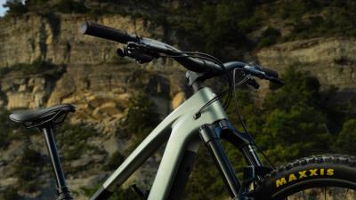 Trek FUEL+ EX 9.7 EU L Lichen Green/Keswick Green Splat Produktbild 6