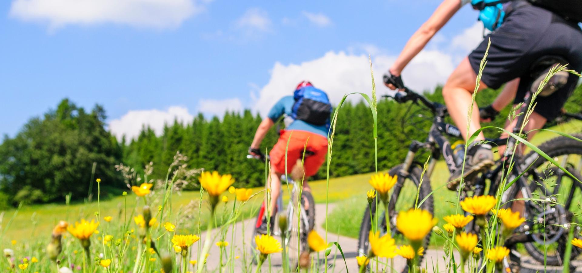  - Radel Bluschke Lingen