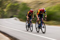 Rennräder/Fitnessbikes