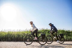 Biobikes