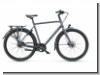 Batavus Dinsdag Exclusive Plus Herr 11-G Alfine