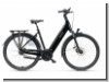 Batavus Finez E-go®Power Ex AP Low 625Wh 8 FL/BE