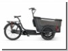 Batavus Fier-3 500Wh Enviolo